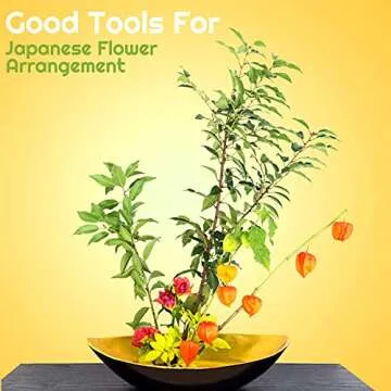 WILLBOND 3-Piece Flower Arranger Frog Set for Floral Design