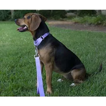 Country Brook Petz Martingale Dog Collar - Heavy-Duty Training Collar with No Buckle - Service Dog Collar for All Pups - Vibrant, Colorful Collection (Lavender, 1 Inch, Large)