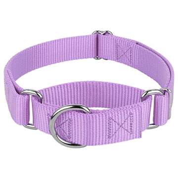 Country Brook Petz Martingale Dog Collar - Heavy-Duty Training Collar with No Buckle - Service Dog Collar for All Pups - Vibrant, Colorful Collection (Lavender, 1 Inch, Large)