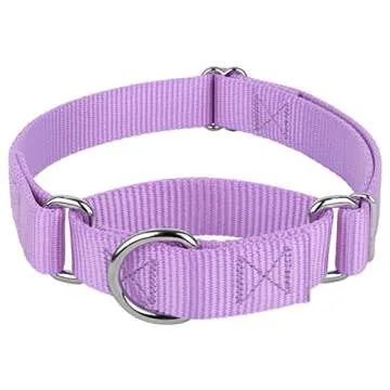 Country Brook Petz Martingale Dog Collar - Heavy-Duty Training Collar with No Buckle - Service Dog Collar for All Pups - Vibrant, Colorful Collection (Lavender, 1 Inch, Large)
