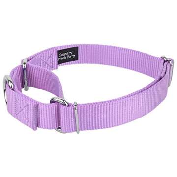 Country Brook Petz Martingale Dog Collar - Heavy-Duty Training Collar with No Buckle - Service Dog Collar for All Pups - Vibrant, Colorful Collection (Lavender, 1 Inch, Large)
