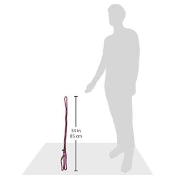 Mendota Pet Slip Leash - USA Made Dog Lead & Collar Combo