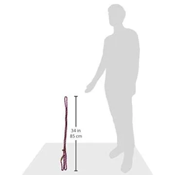 Mendota Pet Slip Leash - USA Made Dog Lead & Collar Combo