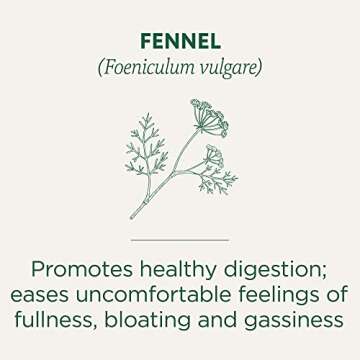 Traditional Medicinals Tea, Organic Fennel, Promotes Healthy Digestion, 16 Tea Bags