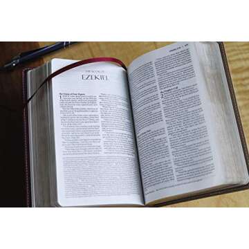 Amplified Holy Bible, Compact, Leathersoft, Tan/Burgundy: Captures the Full Meaning Behind the Original Greek and Hebrew