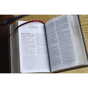 Amplified Holy Bible, Compact, Leathersoft, Tan/Burgundy: Captures the Full Meaning Behind the Original Greek and Hebrew