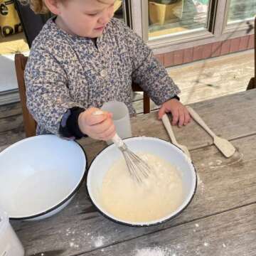 Ultimate GIR Stainless Steel Whisk for Cooking and Baking