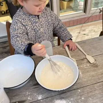 Ultimate GIR Stainless Steel Whisk for Cooking and Baking