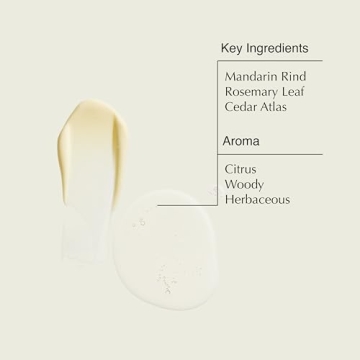 Aesop Resurrection Aromatique Hand Wash and Balm Set