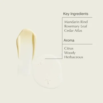 Aesop Resurrection Aromatique Hand Wash and Balm Set