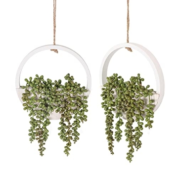 Floweroyal 2pcs Artificial Succulents Hanging Plants for Decor