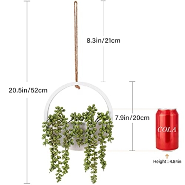 Floweroyal 2pcs Artificial Succulents Hanging Plants for Decor