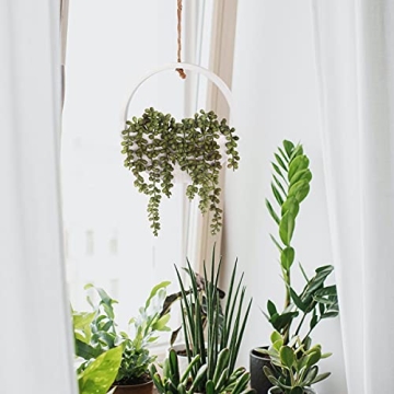 Floweroyal 2pcs Artificial Succulents Hanging Plants for Decor