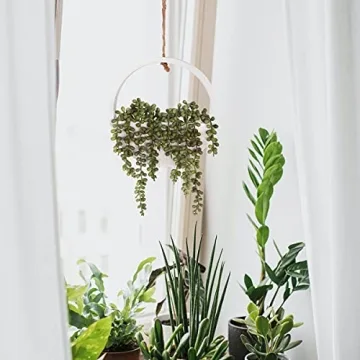 Floweroyal 2pcs Artificial Succulents Hanging Plants for Decor