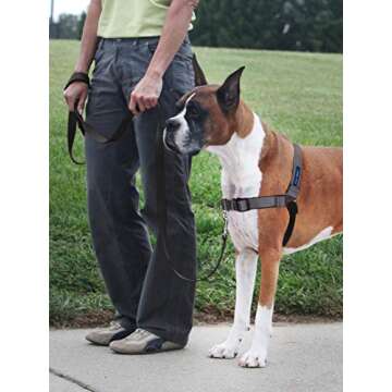 PetSafe Easy Walk Deluxe Dog Harness, No Pull Dog Harness – Perfect for Leash & Harness Training ?...