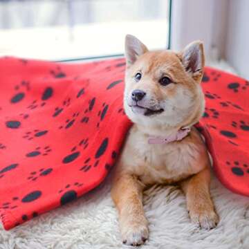 AK KYC 6 Pack Mixed Puppy Blanket Cushion Dog Cat Fleece Blankets Pet Sleep Mat Pad Bed Cover with Paw Print Kitten Soft Warm Blanket for Animals…