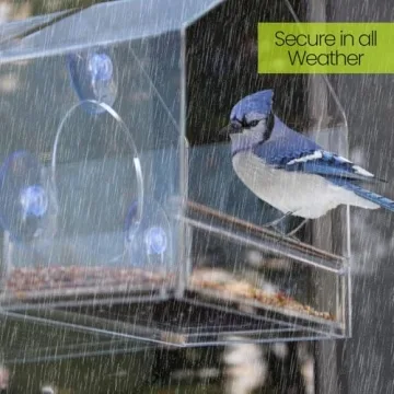 Nature Gear Window Bird Feeder - Clear Acrylic Design