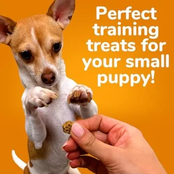Fruitables Skinny Mini Low Calorie Dog Treats for Training