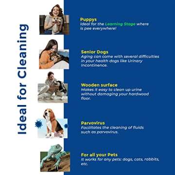 Whoops! Pet Accident Cleanup Powder - Non-Toxic, Citrus Fragrance, Absorbs & Deodorizes Urine, Vomit, Diarrhea - 1 Pack (29.98 oz Each)