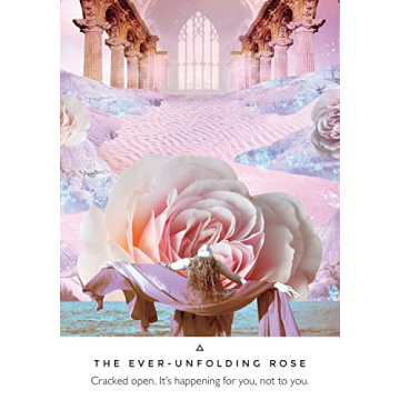 Work Your Light Oracle Cards - 44 Card Deck and Guidebook