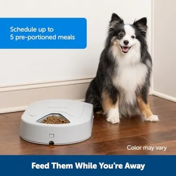 PetSafe 5 Meal Automatic Dog Feeder for Multiple Pets