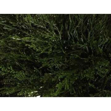 6 Foot 4 Inches Artificial Cypress Spiral Topiary Trees, Faux Tree for Front Porch Decor Indoor or O...