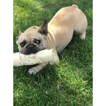 Redbarn Natural Beef Cheek Rolls for Dogs - Healthy Chews