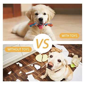 Toozey 7 Pack Small Dog Toys for Fun & Safe Play