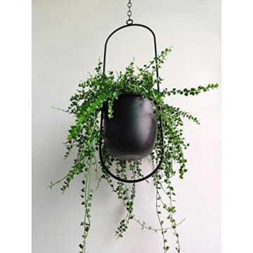 RISEON Boho Black Metal Hanging Planter for Home Decor