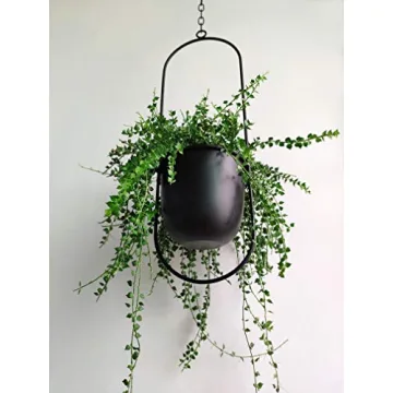RISEON Boho Black Metal Hanging Planter for Home Decor