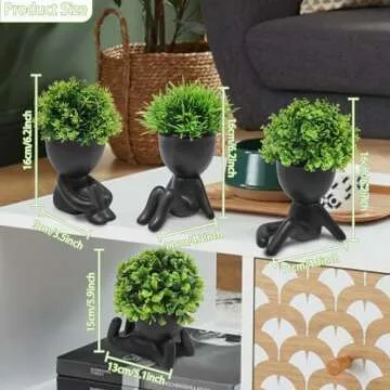 Cute Mini Succulent Plants for Home or Office Decor