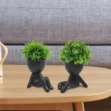 Cute Mini Succulent Plants for Home or Office Decor