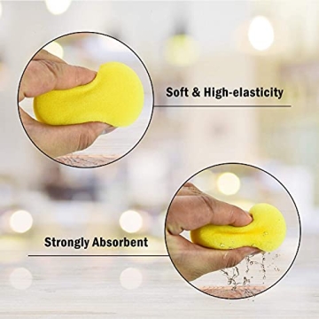 YoleShy 25 Pcs Painting Sponge Set for Artists and Hobbyists