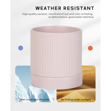 LaDoVita 3 Pack Ceramic Plant Pots for Indoor and Outdoor Use