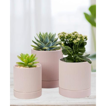 LaDoVita 3 Pack Ceramic Plant Pots for Indoor and Outdoor Use