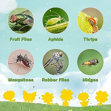 72PCS Fruit Fly Sticky Traps for Indoor and Outdoor Use