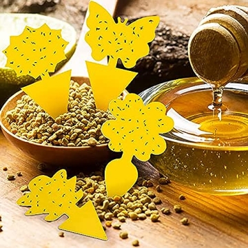 72PCS Fruit Fly Sticky Traps for Indoor and Outdoor Use