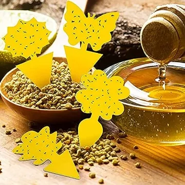 72PCS Fruit Fly Sticky Traps for Indoor and Outdoor Use