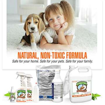 Bed Bug Travel Spray by Bed Bug Patrol - Natural Bed Bug Killer - Child & Pet Safe - Plant Based - Non-Toxic - TSA Approved - for Hotels, Airbnb, Rideshare, Luggage - 3oz Travel Size