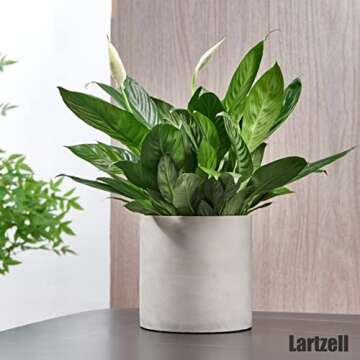 Lartzell Plant Pots, 6.7 Inch Planters for Indoor Plants, Grey Cement Flower Pot with Drain Hole, Modern Concrete Planters for Home Office & Outdoor Decor
