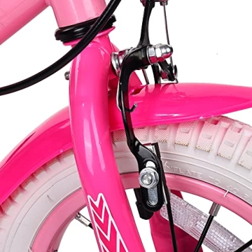 BalanceFrom Dinos Kids Bike with Training Wheels & Basket