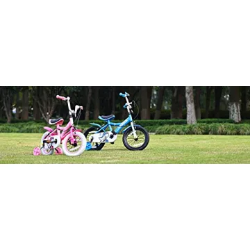 BalanceFrom Dinos Kids Bike with Training Wheels & Basket