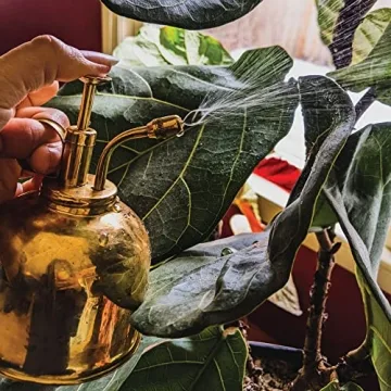 Sustainable Village Brass Indoor Plant Mister Spray Bottle