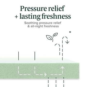 ZINUS Queen Mattress - Green Tea Memory Foam Comfort