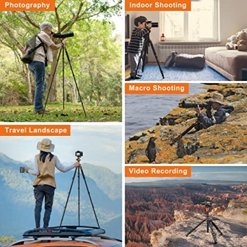 JOILCAN Tripod 81" Heavy Duty for All Cameras