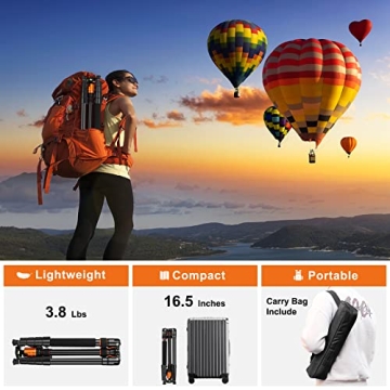 JOILCAN Tripod 81" Heavy Duty for All Cameras