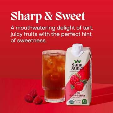 Saint James Iced Tea | Organic Black Tea | Organic, Non-GMO Black Tea, 12 Pack (16.9oz each) (Red Raspberry)