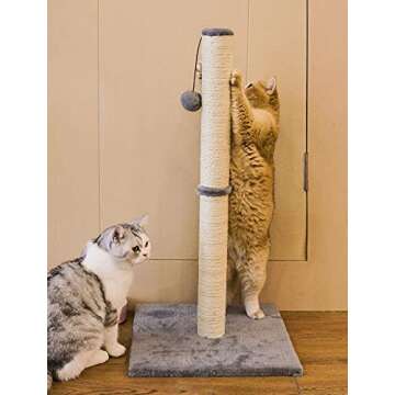 Qucey 32 Inches Tall Cat Scratching Post, Cat Scratch Post Tree Kitten Scratcher with Sisal Rope, Scratching Post for Indoor Cats with Hanging Ball