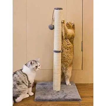 Qucey 32 Inches Tall Cat Scratching Post, Cat Scratch Post Tree Kitten Scratcher with Sisal Rope, Scratching Post for Indoor Cats with Hanging Ball