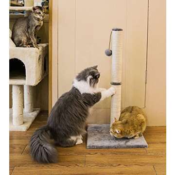 Qucey 32 Inches Tall Cat Scratching Post, Cat Scratch Post Tree Kitten Scratcher with Sisal Rope, Scratching Post for Indoor Cats with Hanging Ball